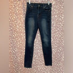 Size 6/28 Lucky Brand Olivia Mid-Rise Skinny Stretch Jean EUC